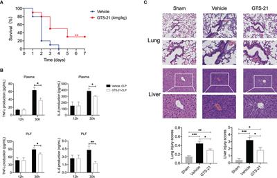 The α7 Nicotinic Acetylcholine Receptor Agonist GTS-21 Improves Bacterial Clearance via Regulation of Monocyte Recruitment and Activity in Polymicrobial Septic Peritonitis